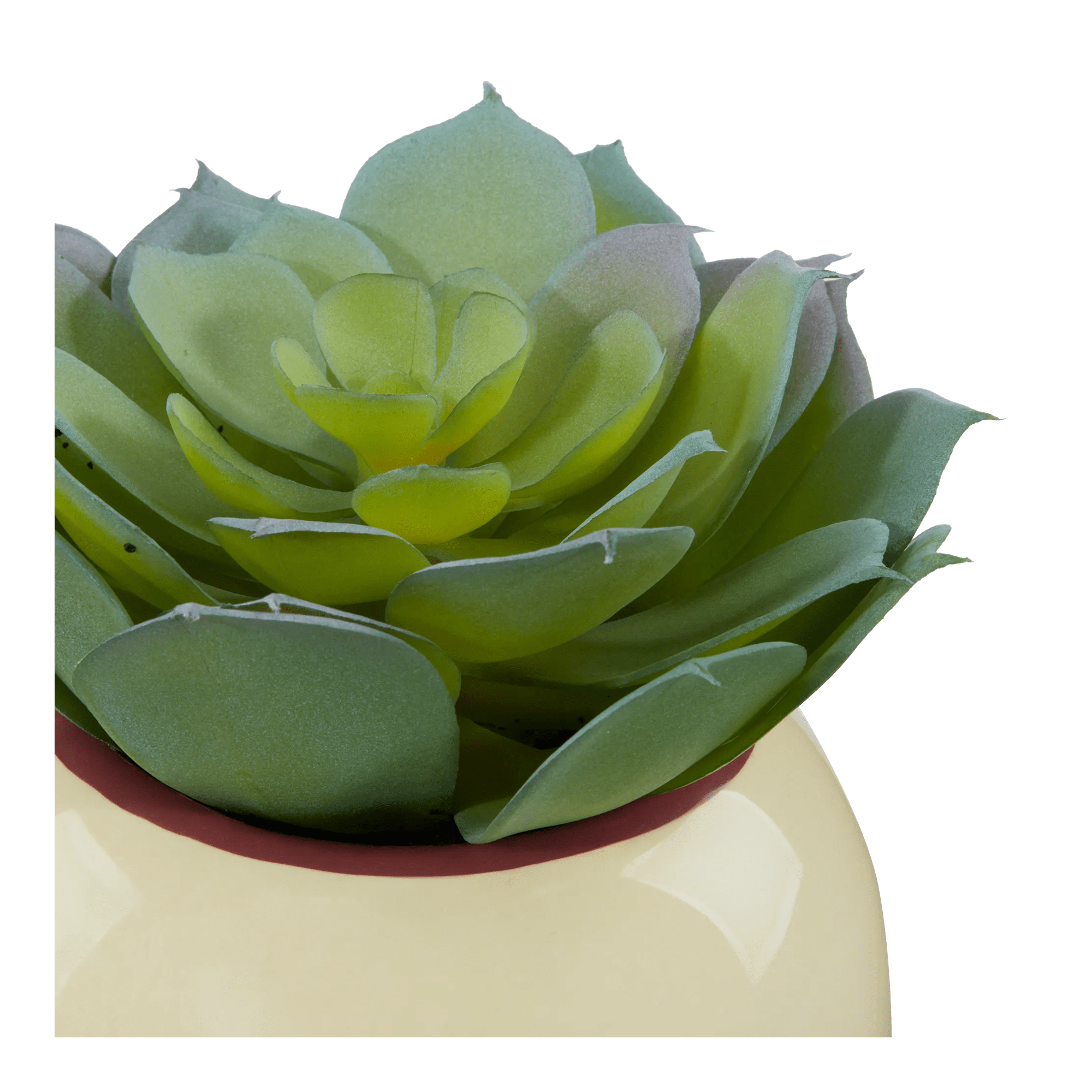 Decorative Artificial Plant Pot Let Love Grow mysite