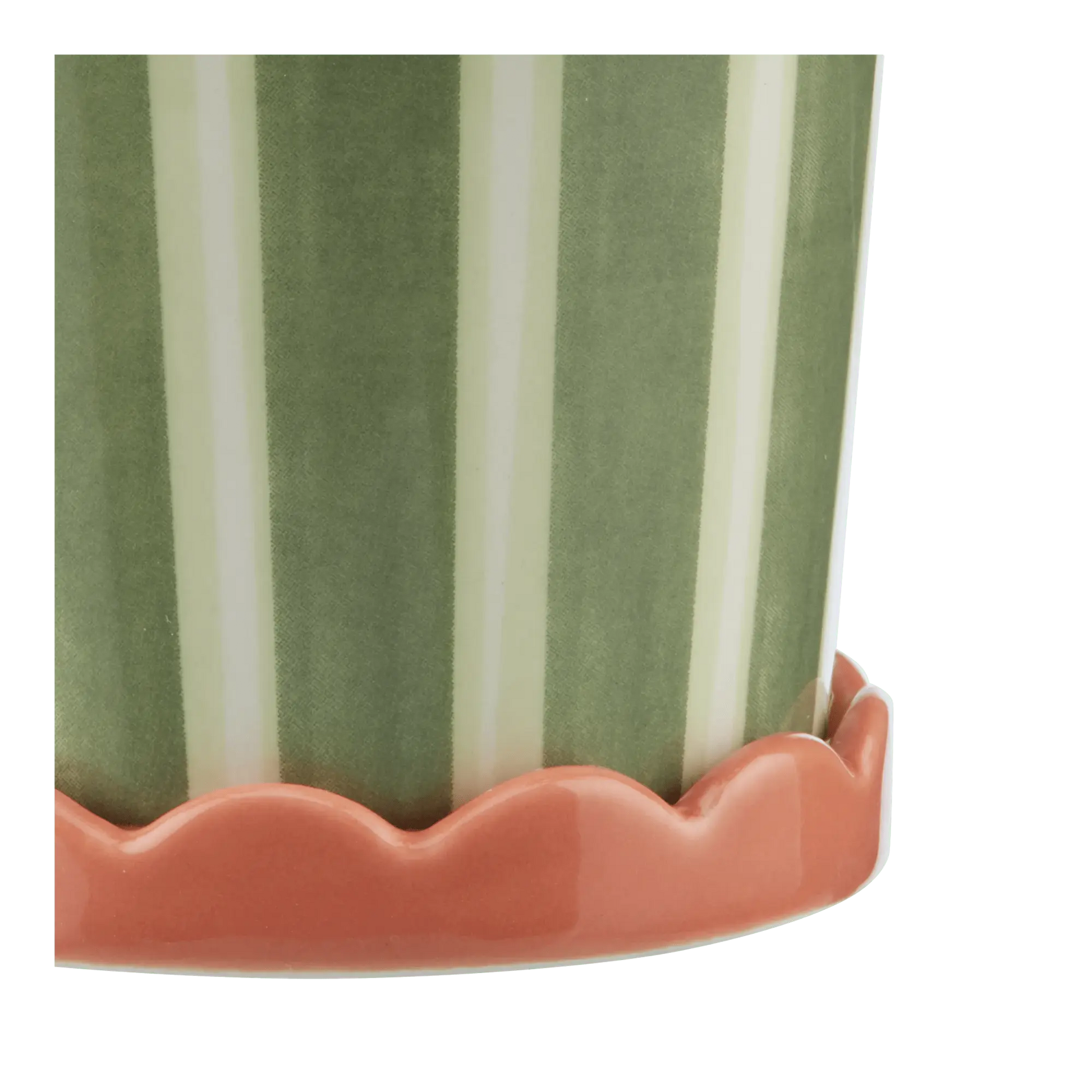 Striped Green Potted Plant mysite