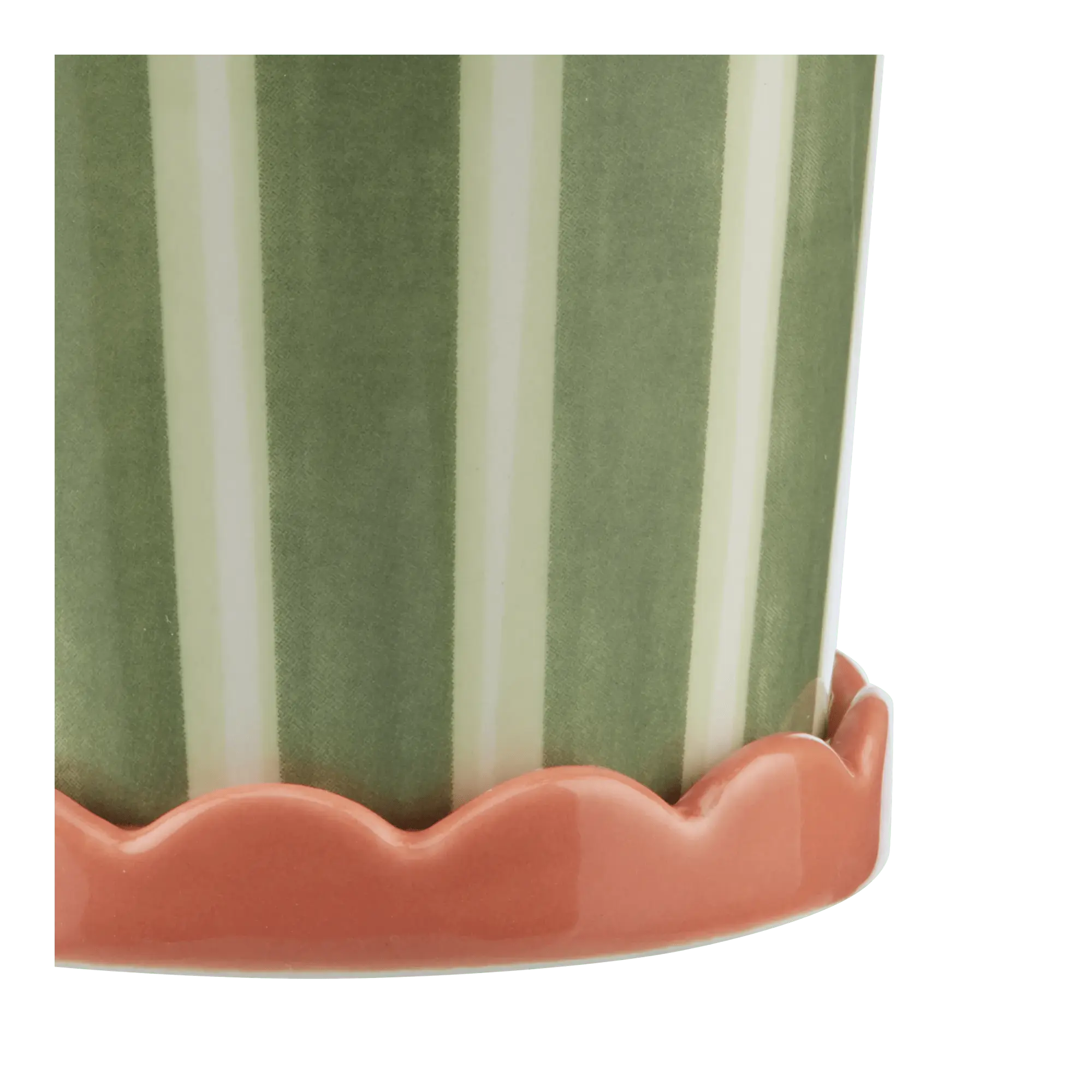 Striped Green Potted Plant mysite